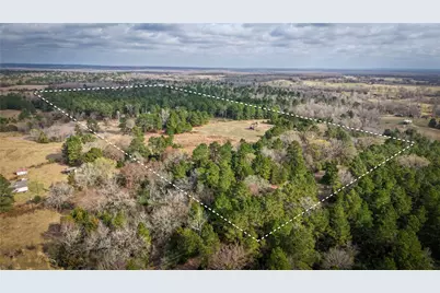 (39.15 Acres) 12868 County Road 122, Centerville, TX 75833 - Photo 33