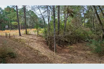 (39.15 Acres) 12868 County Road 122, Centerville, TX 75833 - Photo 7