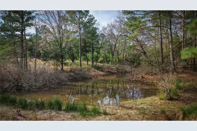 (39.15 Acres) 12868 County Road 122, Centerville, TX 75833 - Photo 1