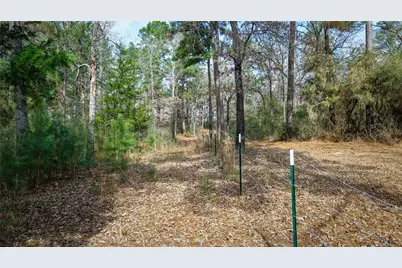 (39.15 Acres) 12868 County Road 122, Centerville, TX 75833 - Photo 23