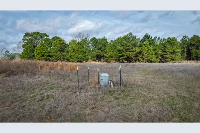 (39.15 Acres) 12868 County Road 122, Centerville, TX 75833 - Photo 11