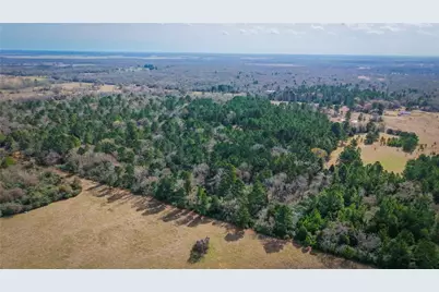 (39.15 Acres) 12868 County Road 122, Centerville, TX 75833 - Photo 13