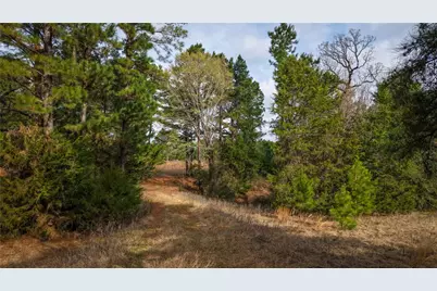 (39.15 Acres) 12868 County Road 122, Centerville, TX 75833 - Photo 21