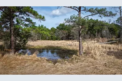 (39.15 Acres) 12868 County Road 122, Centerville, TX 75833 - Photo 15