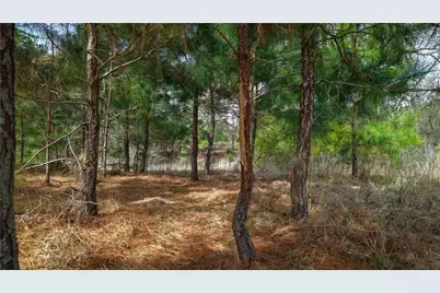 (39.15 Acres) 12868 County Road 122, Centerville, TX 75833 - Photo 27