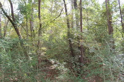 0000 Rain Dance Drive, Grapeland, TX 75844 - Photo 13