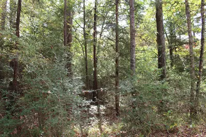 0000 Rain Dance Drive, Grapeland, TX 75844 - Photo 15