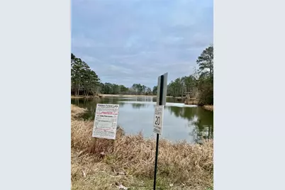 Tbd Lot 180B Milton Whatley Rd Road, Montgomery, TX 77056 - Photo 5