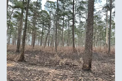 Tbd Lot 180B Milton Whatley Rd Road, Montgomery, TX 77056 - Photo 3