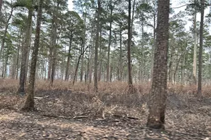 Tbd Lot 180B Milton Whatley Rd, Montgomery, TX 77356 - Photo 3