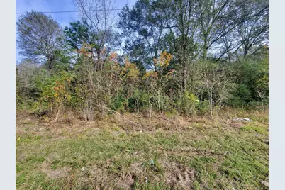 3.915 Ac Meador Road, Conroe, TX 77303 - Photo 5