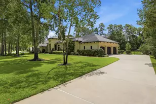27702 W Balsam Fir Circle W, Spring, TX 77386 - Photo 3