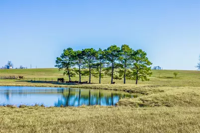 3151 Running River Lane, Washington, TX 77880 - Photo 7