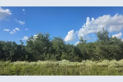 Lot 26 Winding Branch, Chappell Hill, TX 77426 - Photo 5