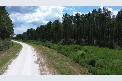 Tract 18 Pr 8160, Lovelady, TX 75851 - Photo 1