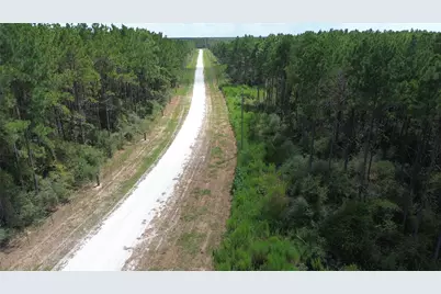 Tract 18 Pr 8160, Lovelady, TX 75851 - Photo 11