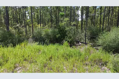 Tract 18 Pr 8160, Lovelady, TX 75851 - Photo 13
