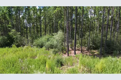 Tract 18 Pr 8160, Lovelady, TX 75851 - Photo 19