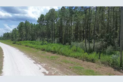 Tract 18 Pr 8160, Lovelady, TX 75851 - Photo 17