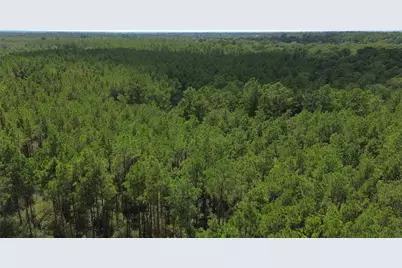 Tract 18 Pr 8160, Lovelady, TX 75851 - Photo 9