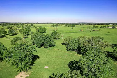 661 B Fm 2550, Huntsville, TX 77320 - Photo 3