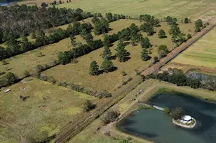 7886 FM 1960, Dayton, TX 77535 - Photo 9