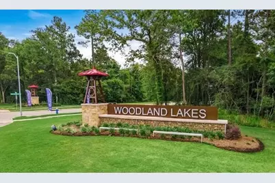 24705 Sonora Crescent Circle, Huffman, TX 77336 - Photo 25