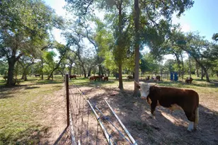 3033 Co Rd 18, Hallettsville, TX 77964 - Photo 23