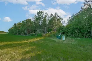 15743 Wooded Trl Wy, Willis, TX 77378 - Photo 3