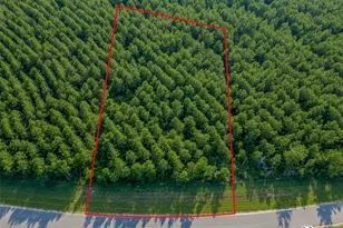 15743 Wooded Trl Wy, Willis, TX 77378 - Photo 1