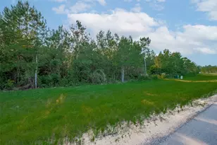 15743 Wooded Trl Wy, Willis, TX 77378 - Photo 5