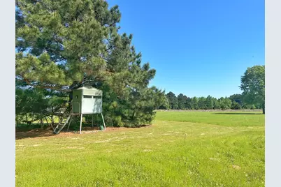 11986 Cr 112, Centerville, TX 75833 - Photo 15