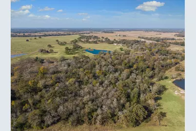 4835 Fm 1452 W, Madisonville, TX 77864 - Photo 31