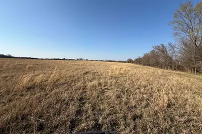 Tbd Tract 7 Fcr 445, Fairfield, TX 75840 - Photo 7