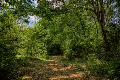 2645 Fm 1155 South S, Chappell Hill, TX 77426 - Photo 43