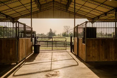 2645 Fm 1155 South S, Chappell Hill, TX 77426 - Photo 17