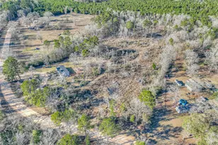 2757 E Capps Rd, Livingston, TX 77351 - Photo 39