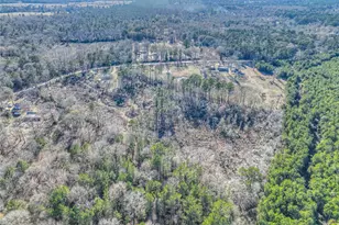 2757 E Capps Rd, Livingston, TX 77351 - Photo 41