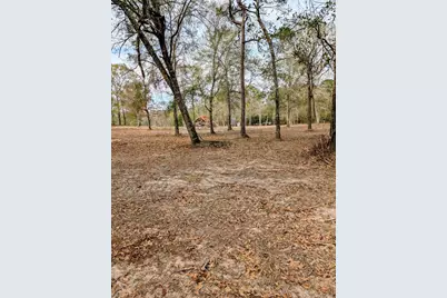 5544 Tall Pine Road, Navasota, TX 77868 - Photo 11