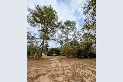 5544 Tall Pine Road, Navasota, TX 77868 - Photo 1