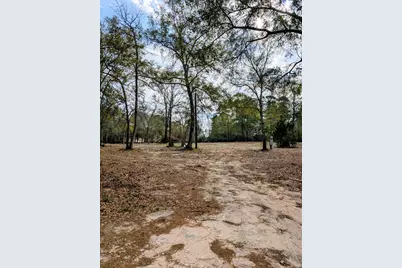 5544 Tall Pine Road, Navasota, TX 77868 - Photo 9