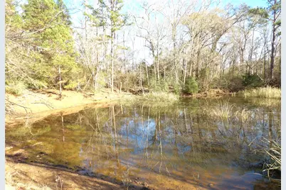 Tbd Fm 1272, Grapeland, TX 75844 - Photo 7