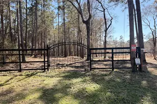 0 Michael Dr, Magnolia, TX 77355 - Photo 1