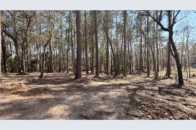 0 Michael Drive, Magnolia, TX 77355 - Photo 5