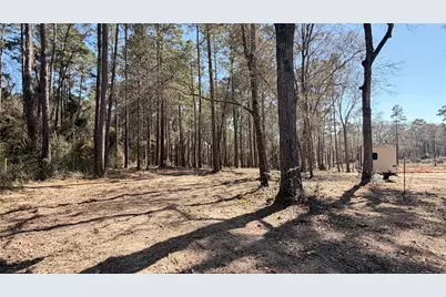 0 Michael Drive, Magnolia, TX 77355 - Photo 7