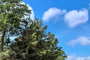 0 Gulf Pump Rd, Crosby, TX 77532 - Photo 1