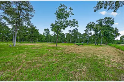 15425 Tierra Grande Drive, Needville, TX 77461 - Photo 15