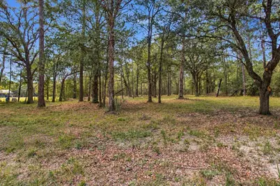 Tbd Northwest Passage, Plantersville, TX 77363 - Photo 5