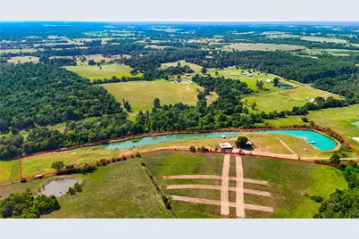 10802 County Road 203, Plantersville, TX 77363 - Photo 7