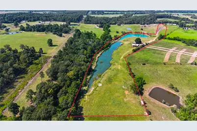 10802 County Road 203, Plantersville, TX 77363 - Photo 3